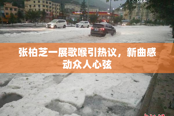张柏芝一展歌喉引热议，新曲感动众人心弦