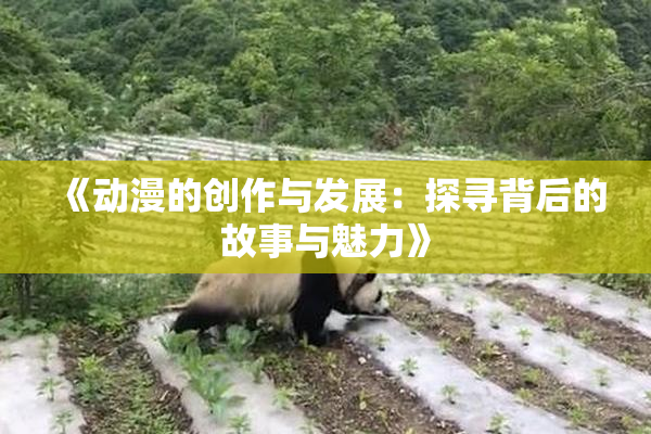 《动漫的创作与发展：探寻背后的故事与魅力》