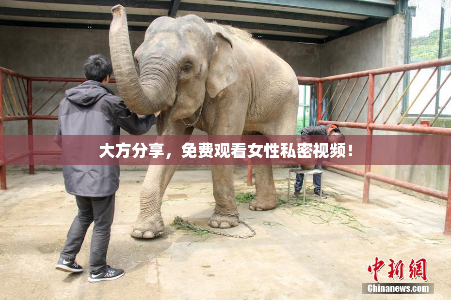 大方分享，免费观看女性私密视频！