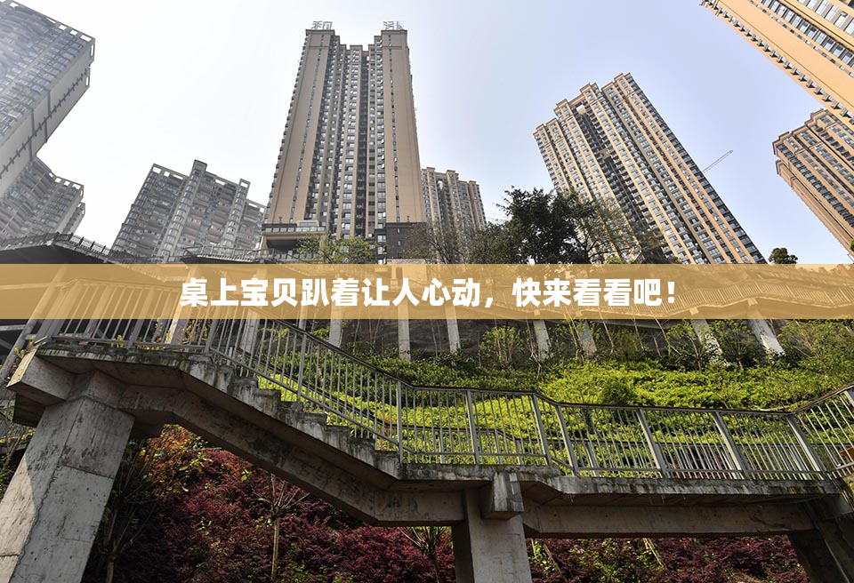 桌上宝贝趴着让人心动，快来看看吧！