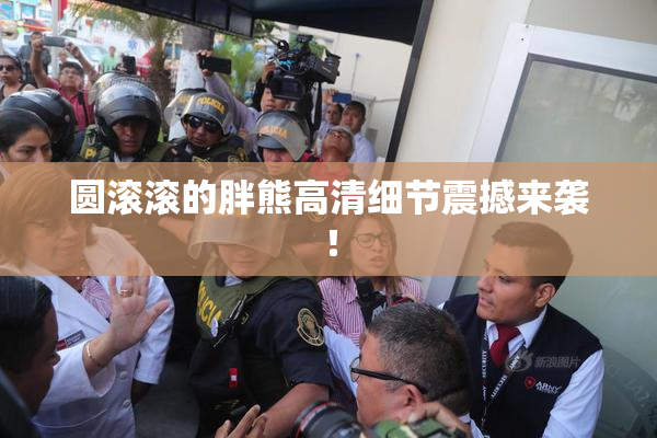 圆滚滚的胖熊高清细节震撼来袭！