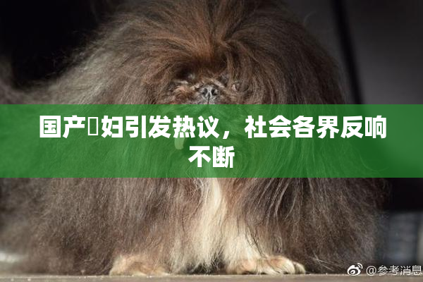 国产婬妇引发热议，社会各界反响不断