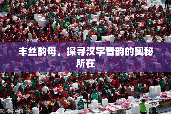 丰丝韵母，探寻汉字音韵的奥秘所在