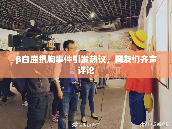 β白鹿扒胸事件引发热议，网友们齐声评论