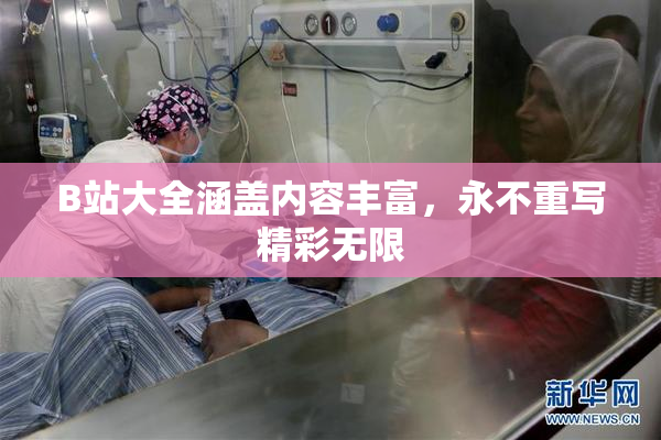 B站大全涵盖内容丰富，永不重写精彩无限
