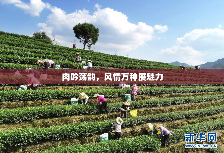 肉吟荡韵，风情万种展魅力