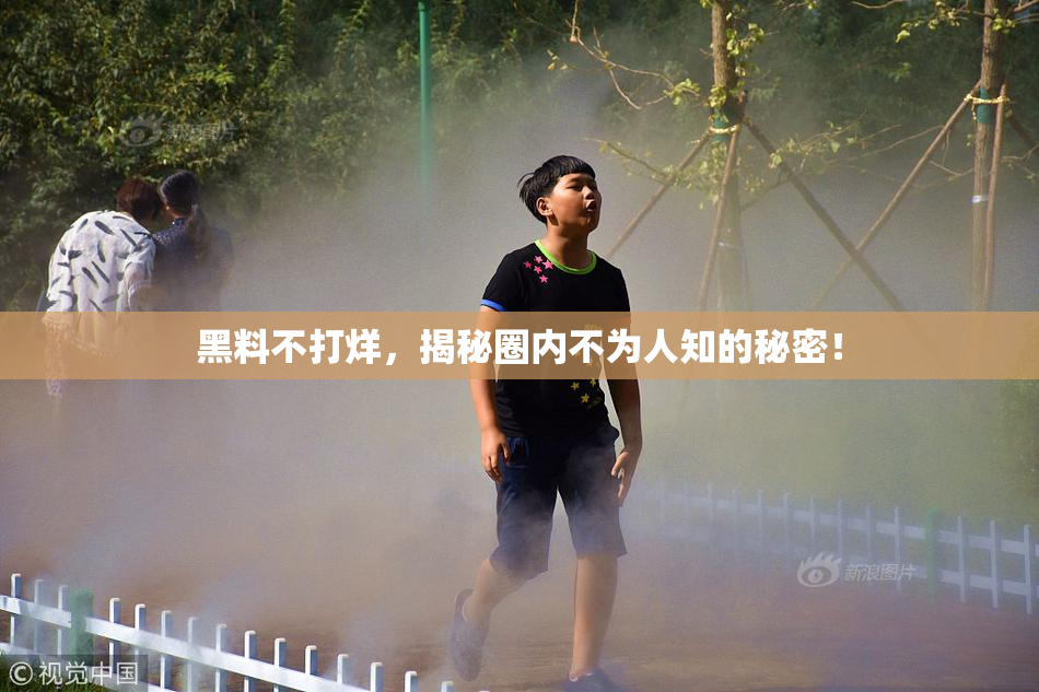 黑料不打烊，揭秘圈内不为人知的秘密！