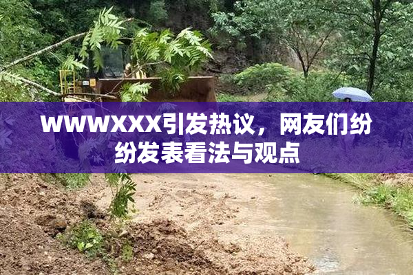 WWWXXX引发热议，网友们纷纷发表看法与观点
