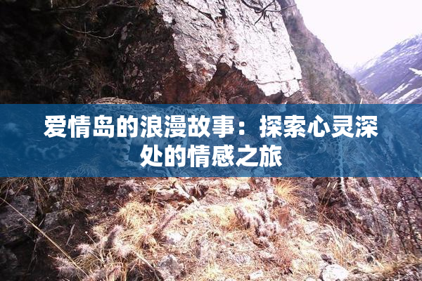爱情岛的浪漫故事：探索心灵深处的情感之旅