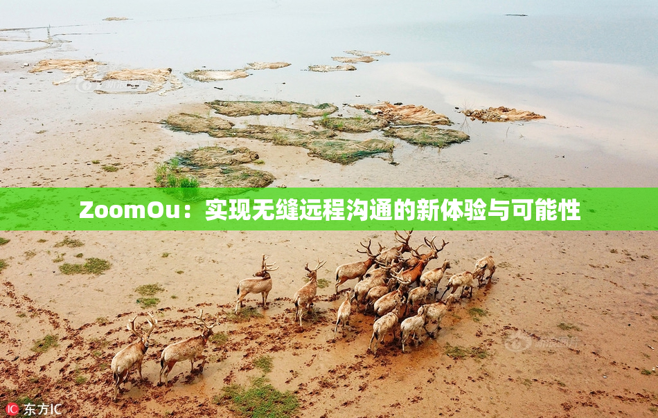 ZoomOu：实现无缝远程沟通的新体验与可能性