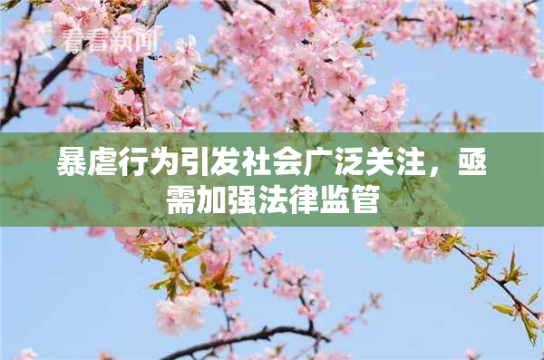 暴虐行为引发社会广泛关注，亟需加强法律监管