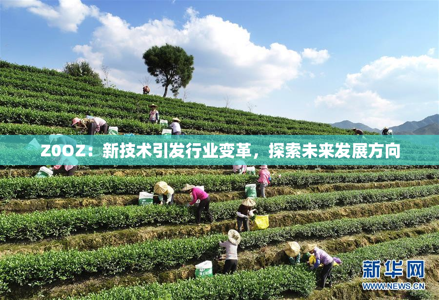 Z0OZ：新技术引发行业变革，探索未来发展方向