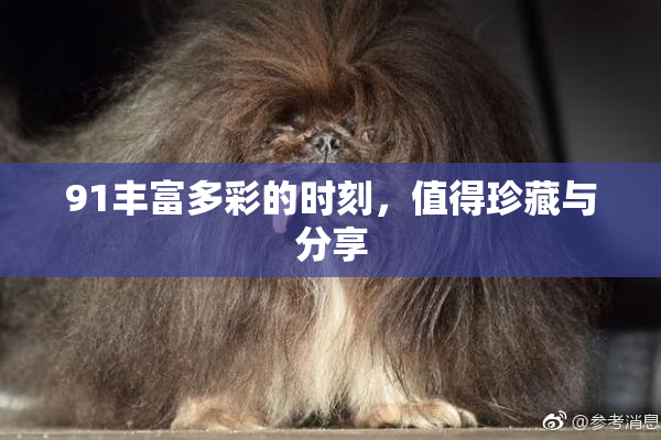 91丰富多彩的时刻，值得珍藏与分享