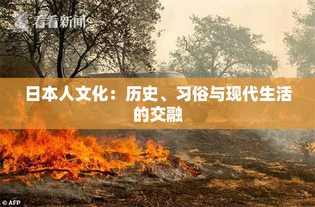 日本人文化：历史、习俗与现代生活的交融