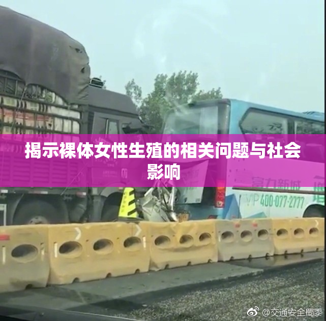 揭示裸体女性生殖的相关问题与社会影响