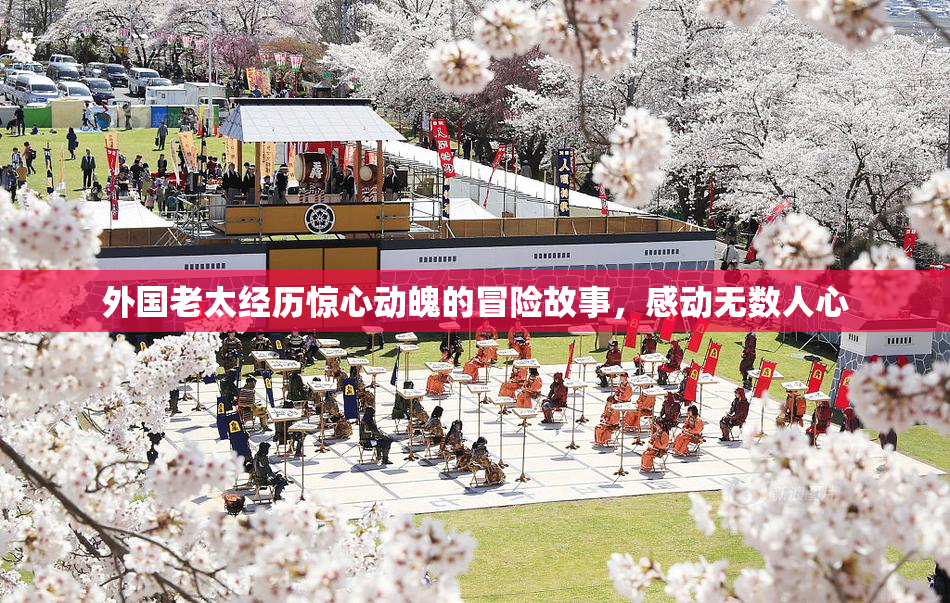 外国老太经历惊心动魄的冒险故事，感动无数人心