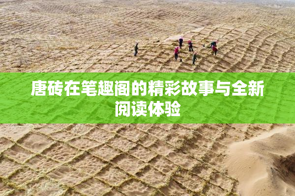 唐砖在笔趣阁的精彩故事与全新阅读体验