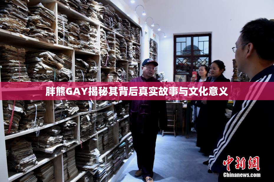 胖熊GAY揭秘其背后真实故事与文化意义