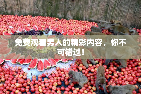 免费观看男人的精彩内容，你不可错过！