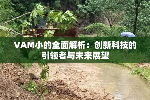 VAM小的全面解析：创新科技的引领者与未来展望