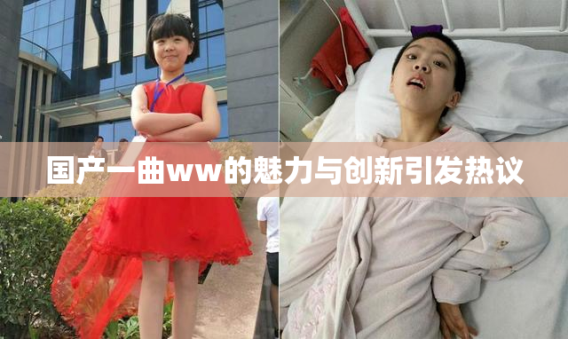 国产一曲ww的魅力与创新引发热议