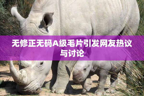 无修正无码A级毛片引发网友热议与讨论