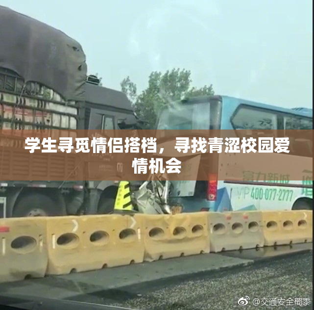 学生寻觅情侣搭档，寻找青涩校园爱情机会