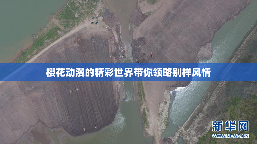 樱花动漫的精彩世界带你领略别样风情