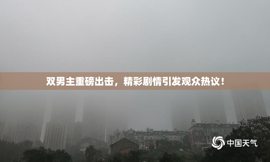 双男主重磅出击，精彩剧情引发观众热议！