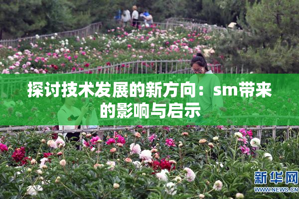 探讨技术发展的新方向：sm带来的影响与启示