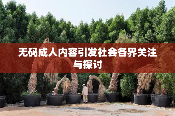 无码成人内容引发社会各界关注与探讨