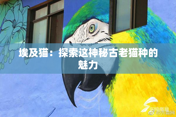 埃及猫：探索这神秘古老猫种的魅力