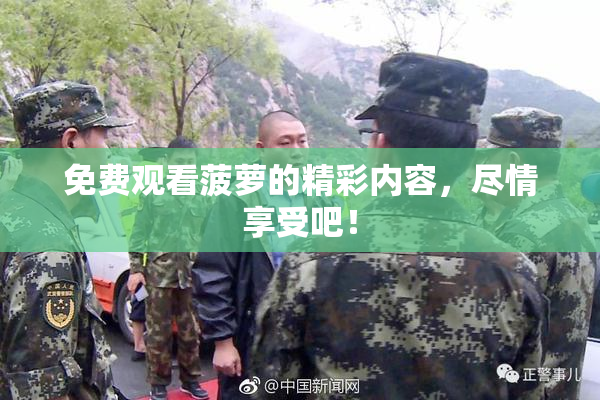 免费观看菠萝的精彩内容，尽情享受吧！