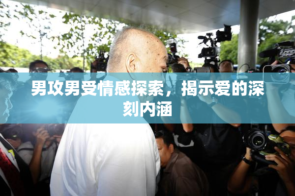 男攻男受情感探索，揭示爱的深刻内涵