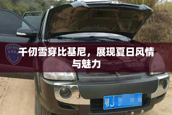 千仞雪穿比基尼，展现夏日风情与魅力