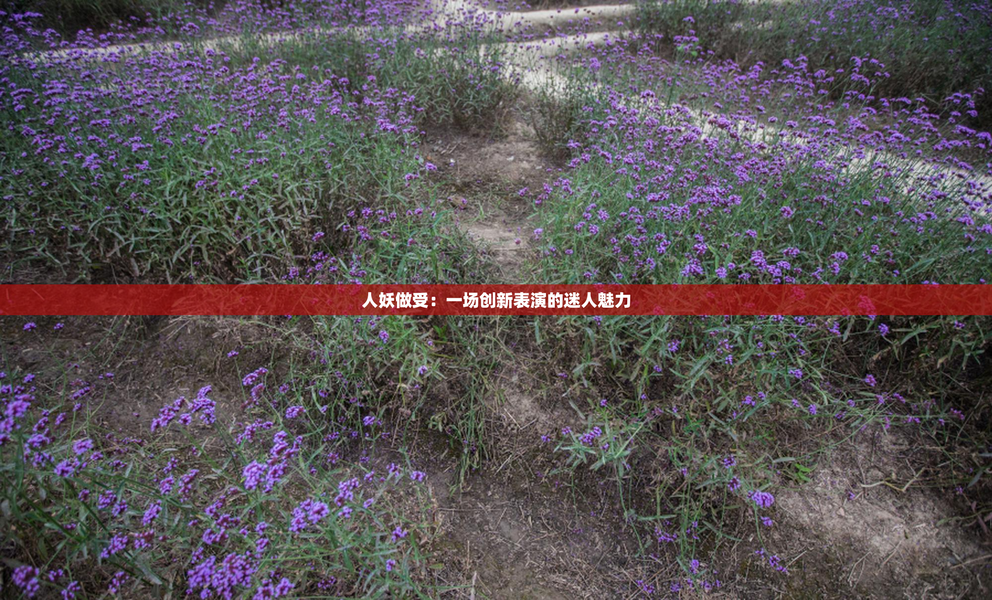 人妖做受：一场创新表演的迷人魅力