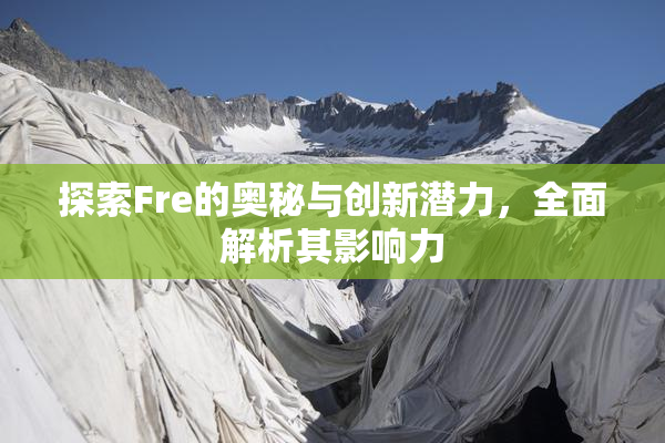 探索Fre的奥秘与创新潜力，全面解析其影响力