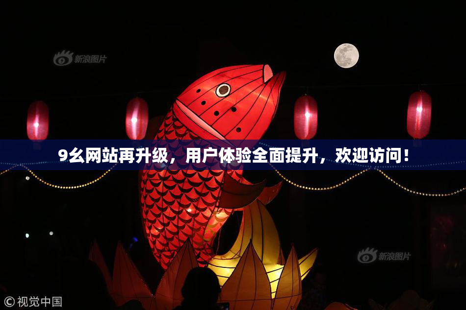 9幺网站再升级，用户体验全面提升，欢迎访问！