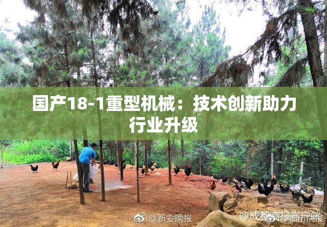 国产18-1重型机械：技术创新助力行业升级