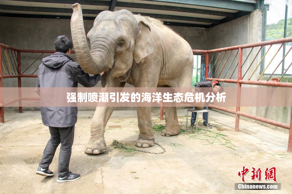 强制喷潮引发的海洋生态危机分析