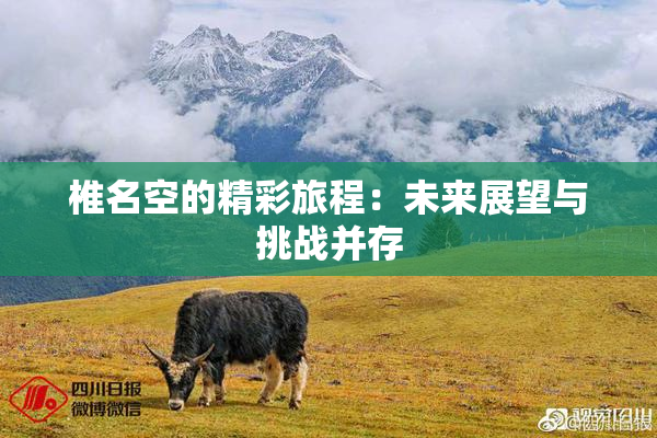 椎名空的精彩旅程：未来展望与挑战并存