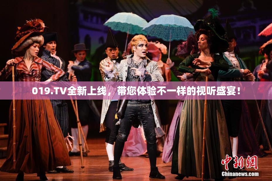 019.TV全新上线，带您体验不一样的视听盛宴！