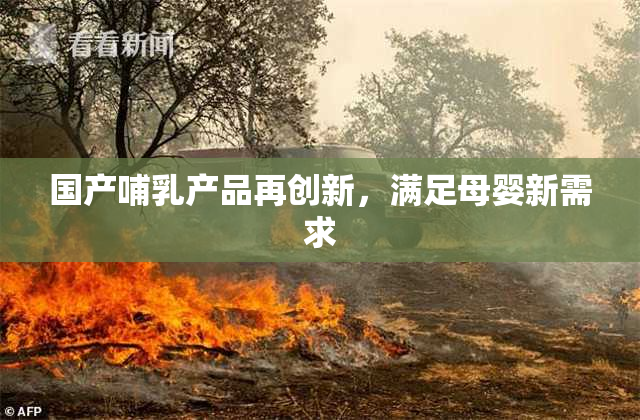 国产哺乳产品再创新，满足母婴新需求