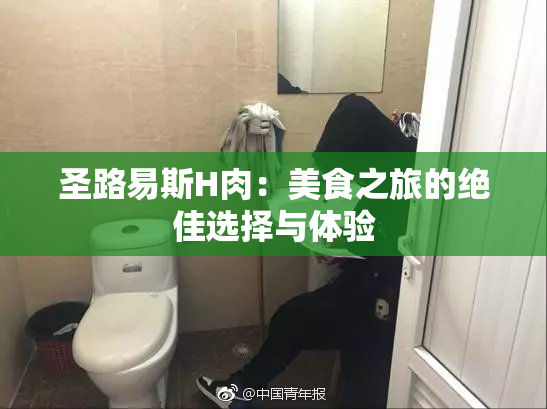 圣路易斯H肉：美食之旅的绝佳选择与体验