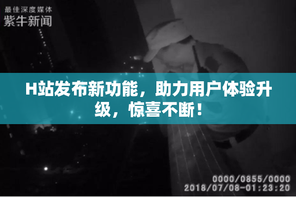 H站发布新功能，助力用户体验升级，惊喜不断！