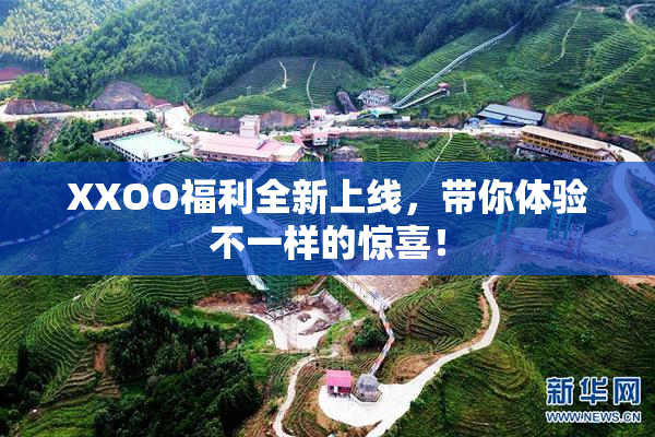 XXOO福利全新上线，带你体验不一样的惊喜！