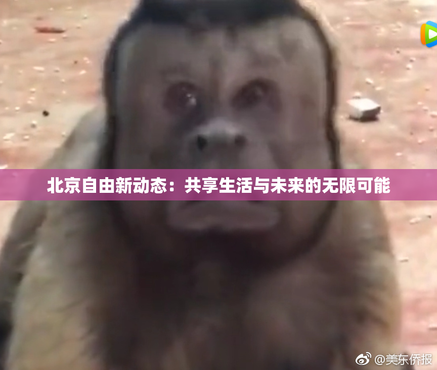 北京自由新动态：共享生活与未来的无限可能
