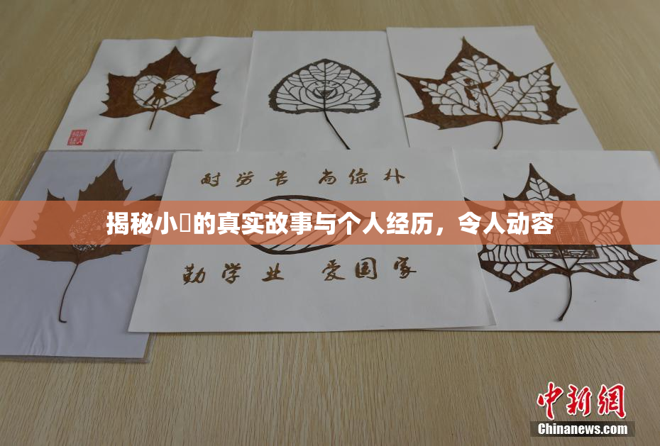 揭秘小泬的真实故事与个人经历，令人动容
