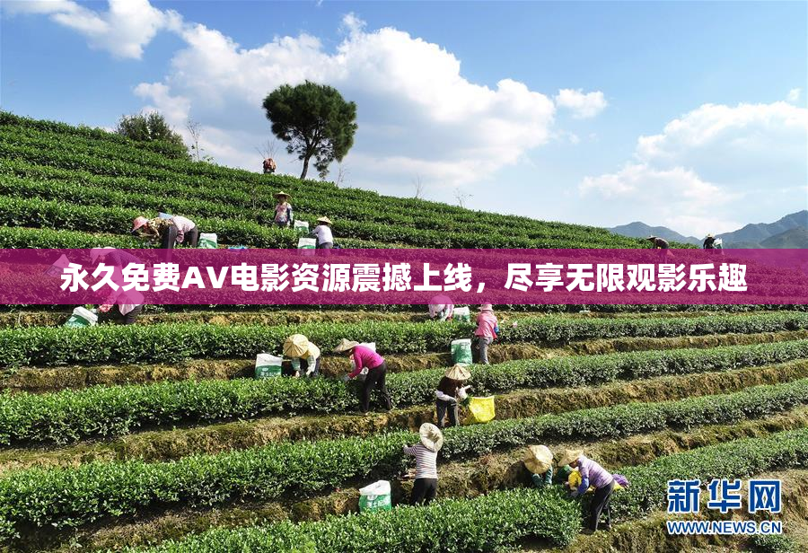 永久免费AV电影资源震撼上线，尽享无限观影乐趣