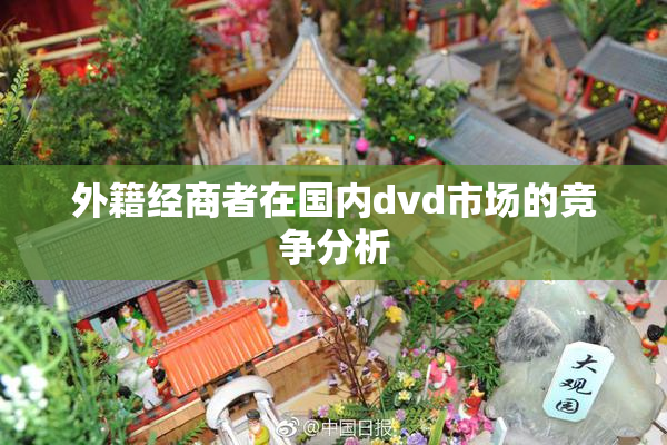 外籍经商者在国内dvd市场的竞争分析